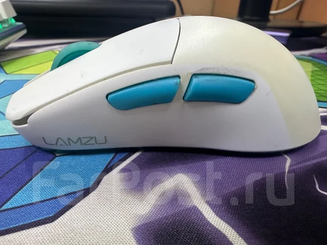 ���� �������. ����
