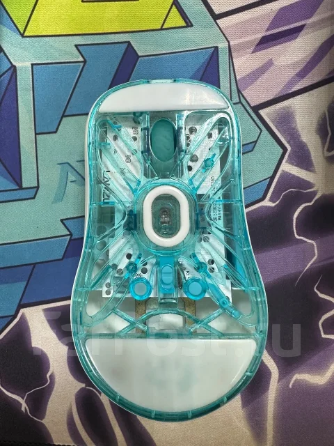 ���� �������. ����