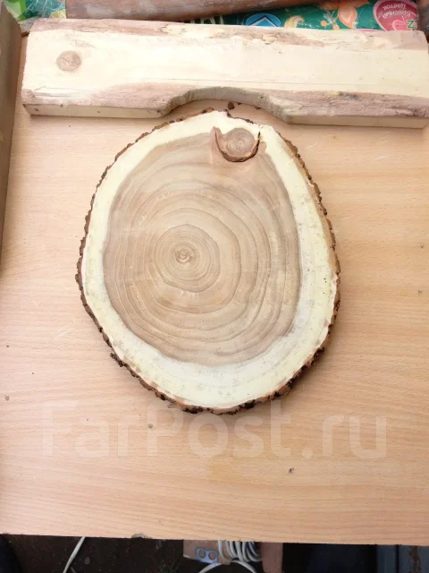 ���� �������� ����