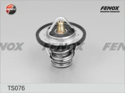 ��������� (+82�C) Fenox TS076 TS076 ����