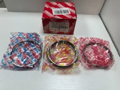 ������ ��������� STD 1FZFE 100 / 1, 75 / 2 / 4 1301166021 ����
