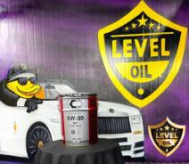 Castle. 5W-30, �������������, 1��. ����