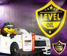 Honda HMMF. CVT (��� ����������), �������������, 1��. ����