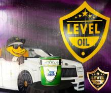 MolyGreen Clean Diesel. 0W-30, �������������, 1��. ����