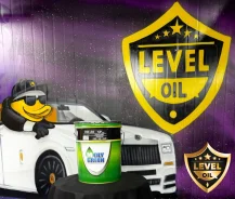 MolyGreen Hybrid. 0W-20, �������������, 1��. ����