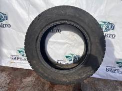 Toyo Winter Tranpath S1