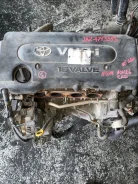 ��������� Toyota Ipsum 1900028483 ACM26 2AZFE 1900028483 ����