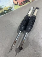������������ ������ ���� ���� ������ 8200779901 ����