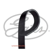 ������ ������������ XF Gates 7PK2285 7PK2285 ����