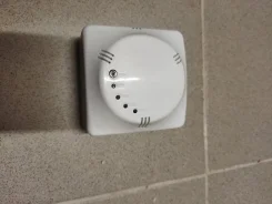 ������� ����. ����