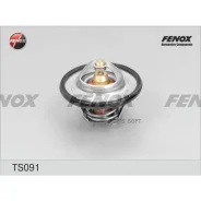 ��������� Citroen Berlingo 96, Jumper 94-; Peugeot 106, 205, 306, 405, 605, Partner (1.1-2.0) 88*C Fenox TS091 Fenox TS091 TS091 ����