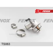 ��������� TS063 ����