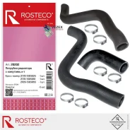 �������� ��������� ���������� ��� 2170 (���� �� 3��. ) Rosteco 20202 20202 ����