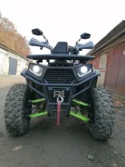 Yamaha Grizzly 250. ��������, ��� ���\���, �� ����