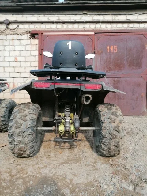 Yamaha Grizzly 250. ��������, ��� ���\���, �� ����