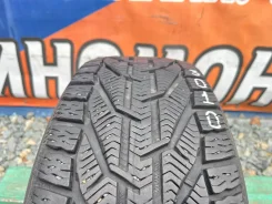 Tigar Winter. ������, ��� �����, 2019 ���, �/�, ����� 5 % ����