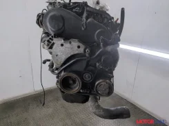 ���������� ������������ Volkswagen Golf 6 2008-2012 11811741 5N0820803 ����