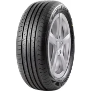 Roadmarch Ecopro 99 ����
