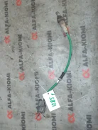 ������ ����������� Honda Elysion 36532RKC014 ����