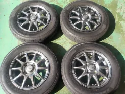 Abelia Sport