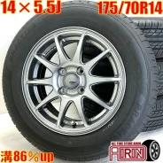Abelia Sport