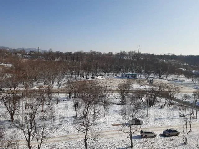 ��������, ����� ������ 152. ���������, ������� ����, 22,5���.��., 6/9 ���� ����