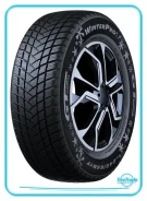 GT Radial WinterPro2