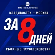 ��������������� ���������. ����