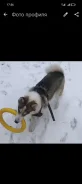 �����. ����