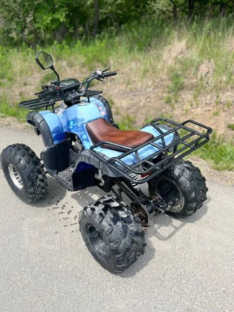 Grizzly 125. ��������, ��� ���\���, �� ����
