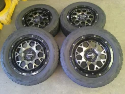 RAYS Team Daytona M9