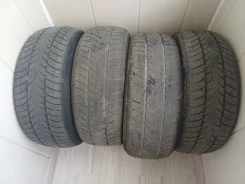 Triangle WinterX TW401. ������, ��� �����, 2021 ���, �/�, ����� 50 %. �������� ������� ����