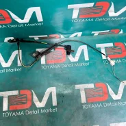 ������ ABS Toyota Avensis 2006 8954202040 AZT250 1AZ-FSE, �������� ������ 8954202040 ����
