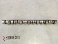 ���������� 1537778 1537778 ����