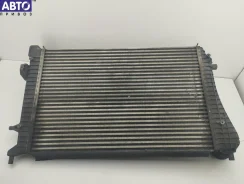 ���������� Volkswagen Passat B6 ����