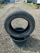 Nordman SX