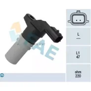 ������ ��������� ��������� Renault FAE 79317 79317 ����