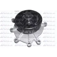 ������� ����� DOLZ C146 C146 ����