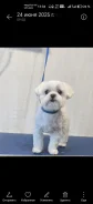 ����������� �������. ����