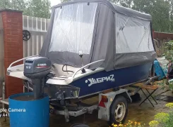 ����. 2024 ���, ��������� ��� ��������� ����