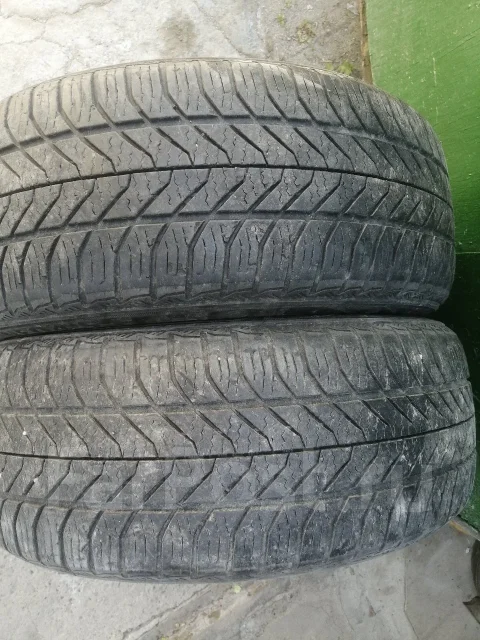 Neolin. ������, �/�, ����� 40 % ����