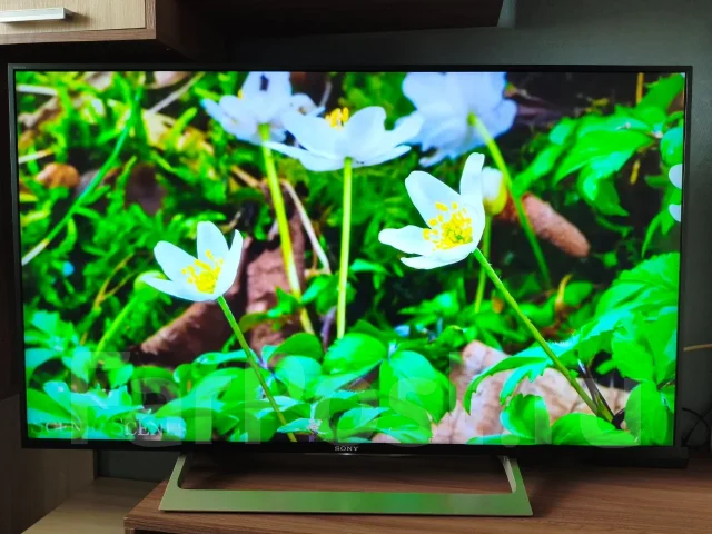 Sony KD-49XF8096 ����