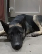 ������. ����