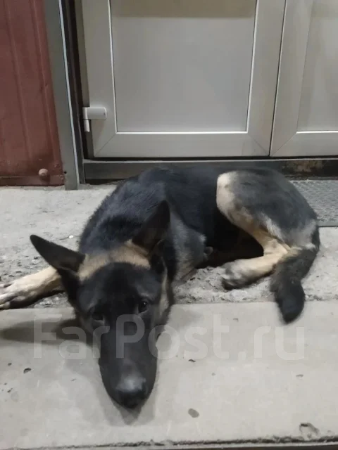 ������. ����