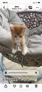 ����������� �����. ����