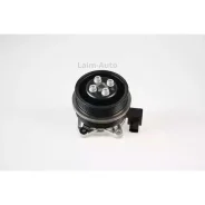 ������� ����� P651 ����