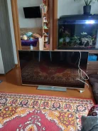 DNS. LED ����