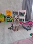 ����� ���� ����