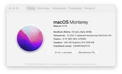 Apple MacBook 12 2016 Early MLH82. 12", 1,2����, ��� 8 ��, ���� 500���, WiFi: 1, Bluetooth: 1, ����������� �� 6��. ����