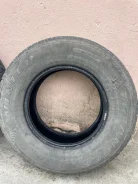 Triangle TR797. ������, ��� �����, 2019 ���, �/�, ����� 50 % ����